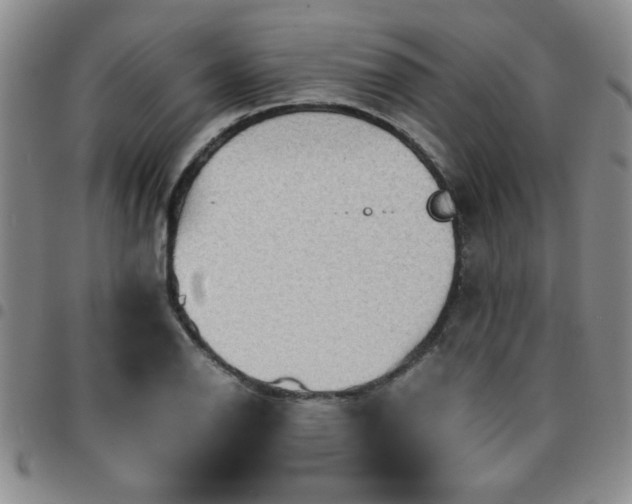 X0000097761126200803141717