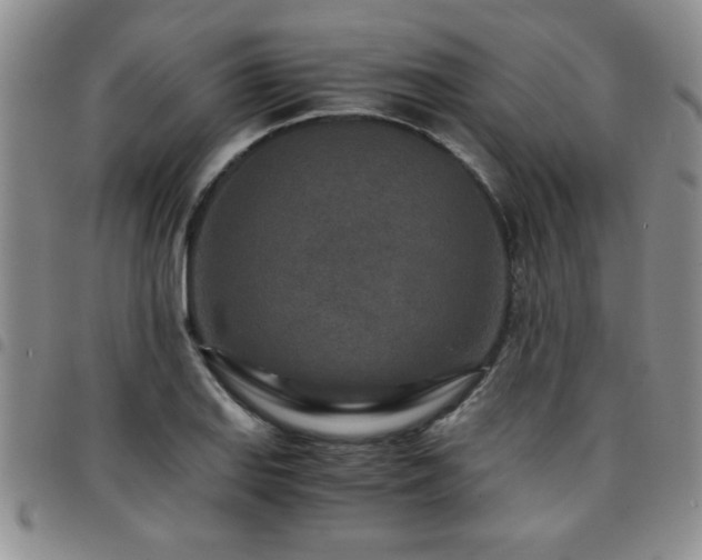 X0000097761127200803141717