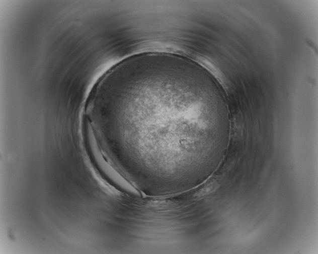 X0000097761128200803141717