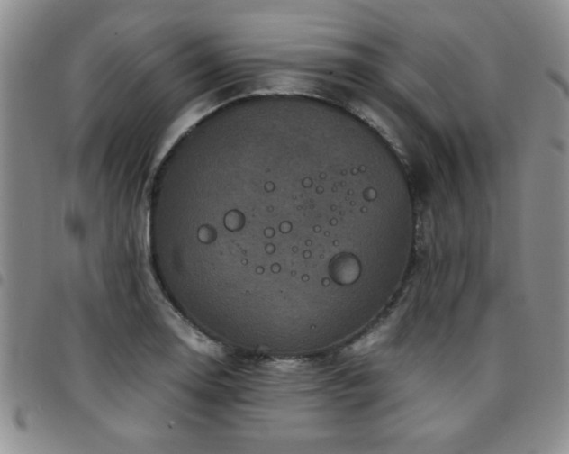 X0000097761130200803141717