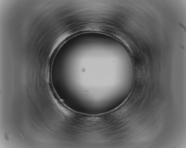 X0000097761131200803141717