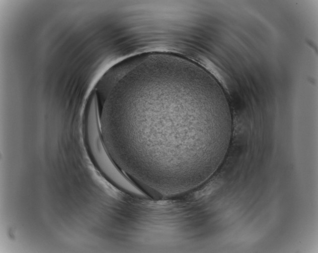 X0000097761132200803141717