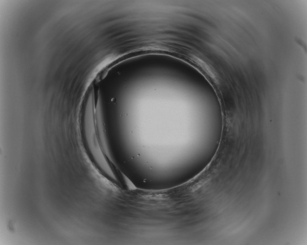 X0000097761133200803141717