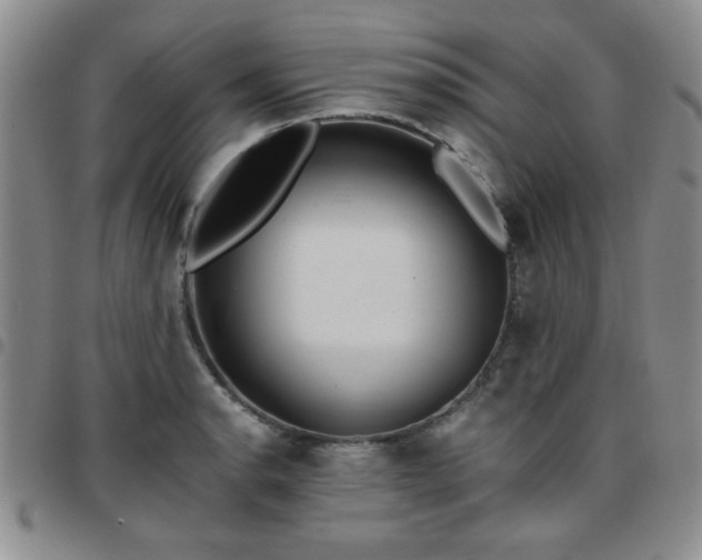 X0000097761134200803141717