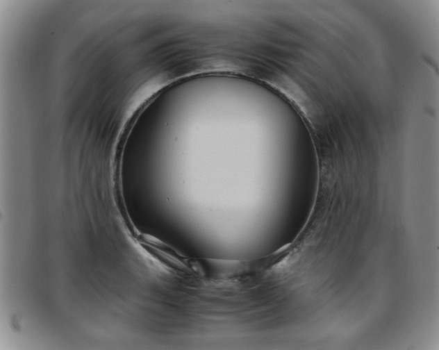 X0000097761135200803141717