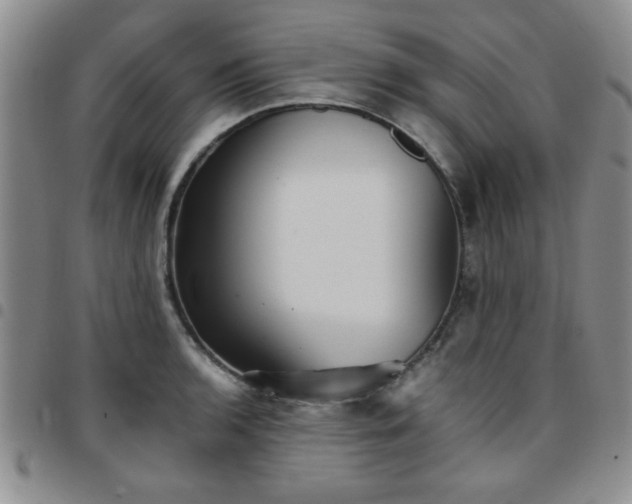 X0000097761136200803141717