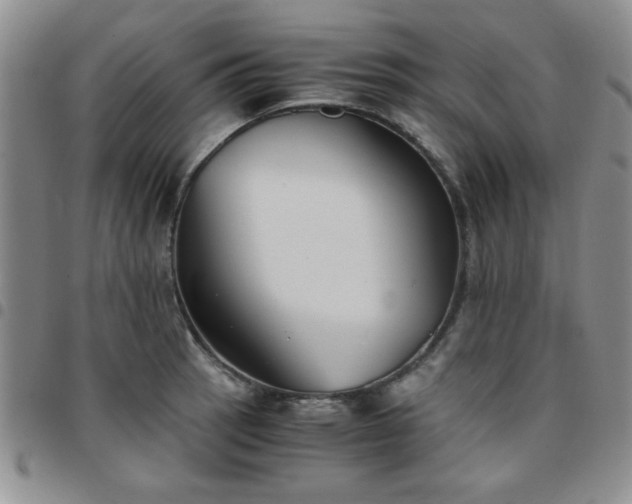 X0000097761137200803141717