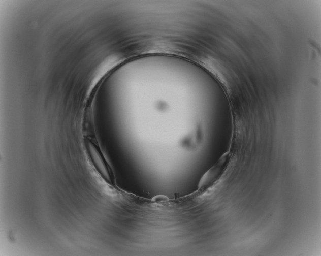 X0000097761138200803141717