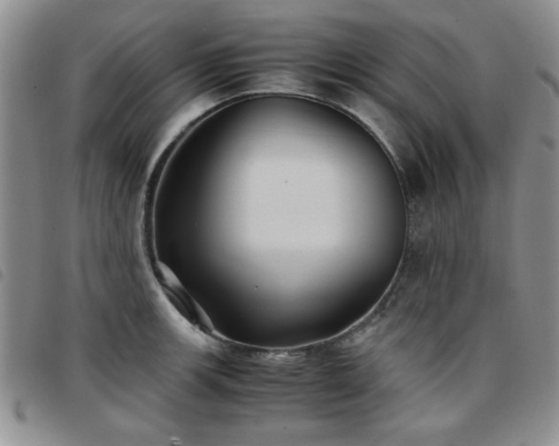 X0000097761139200803141717