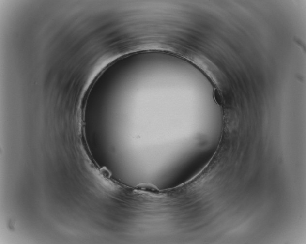 X0000097761140200803141717