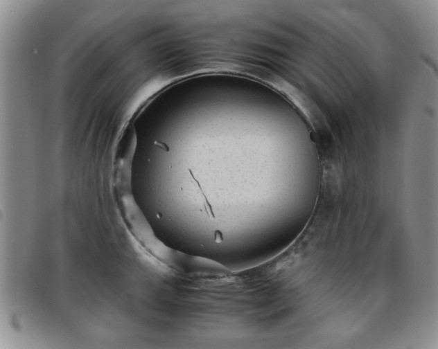 X0000097761143200803141717