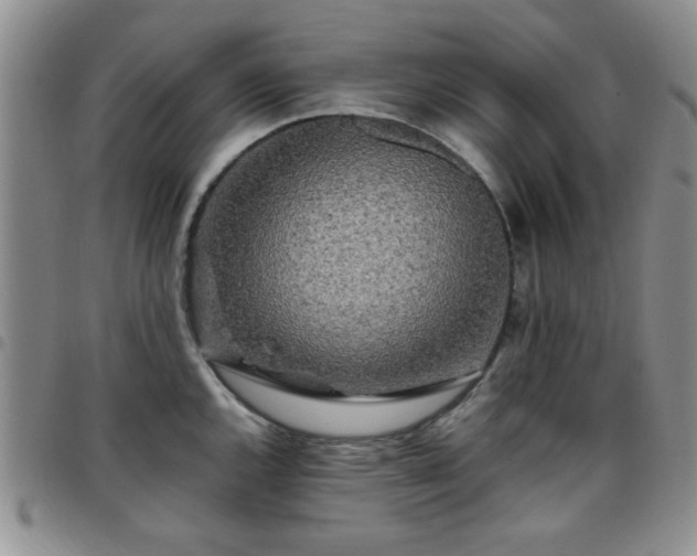 X0000097761144200803141717