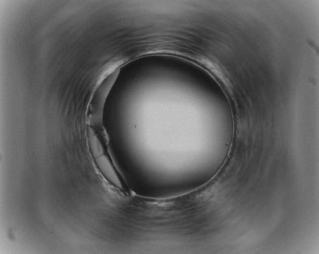 X0000097761145200803141717