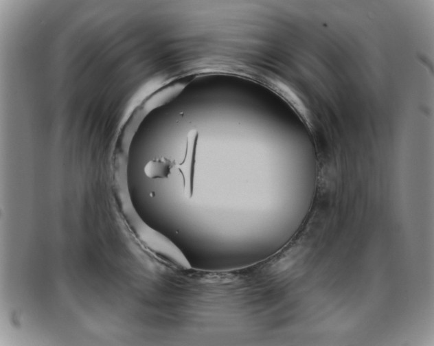 X0000097761146200803141717