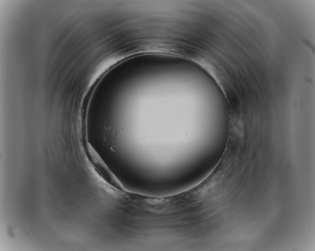 X0000097761147200803141717