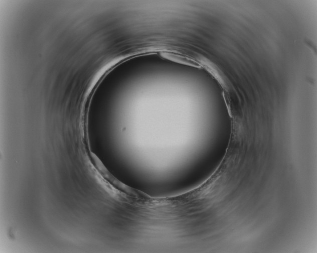 X0000097761148200803141717