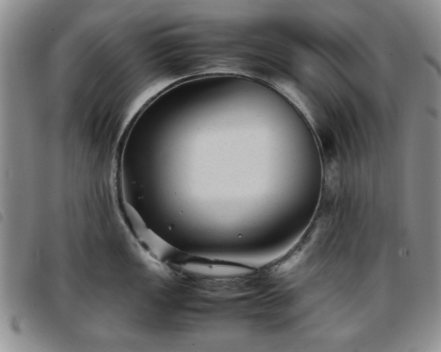 X0000097761149200803141717