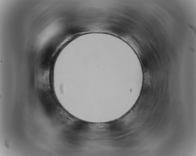 X0000097761150200803141717