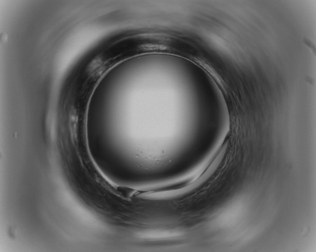 X0000097761151200803141717