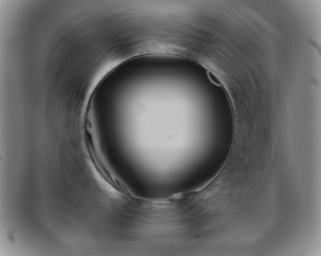 X0000097761152200803141717