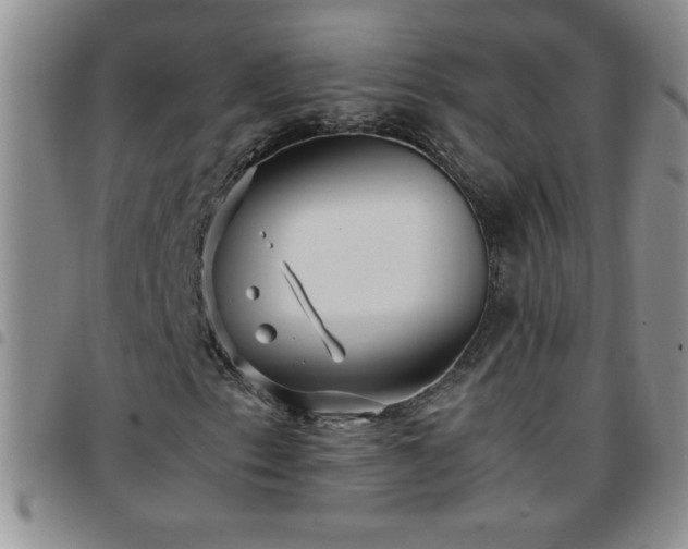 X0000097761153200803141717