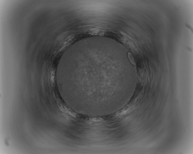 X0000097761154200803141717