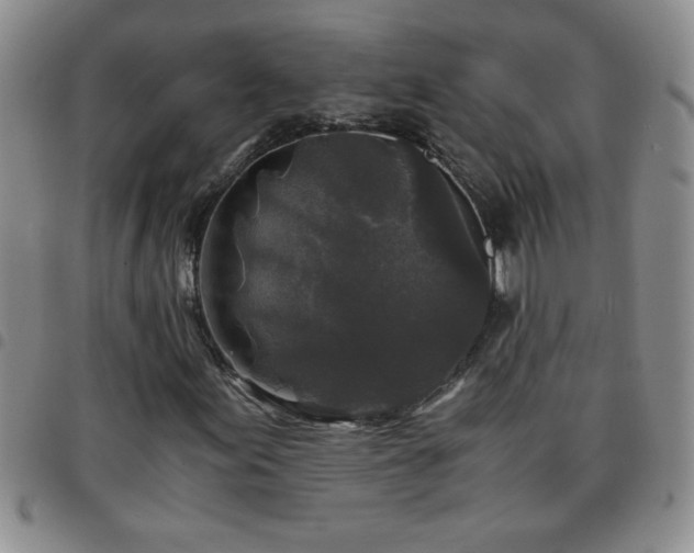 X0000097761155200803141717