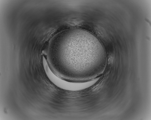 X0000097761156200803141717