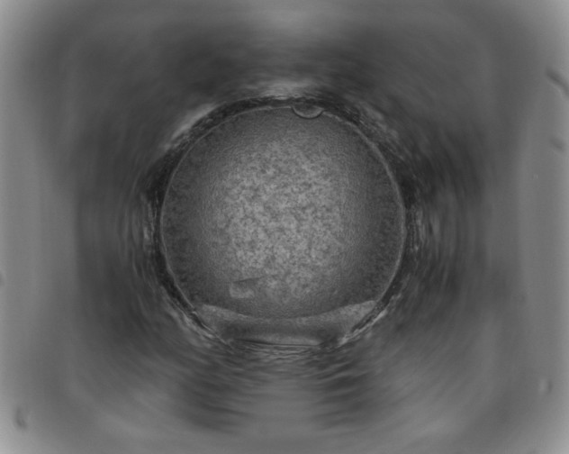 X0000097761158200803141717