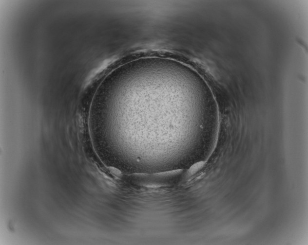 X0000097761159200803141717