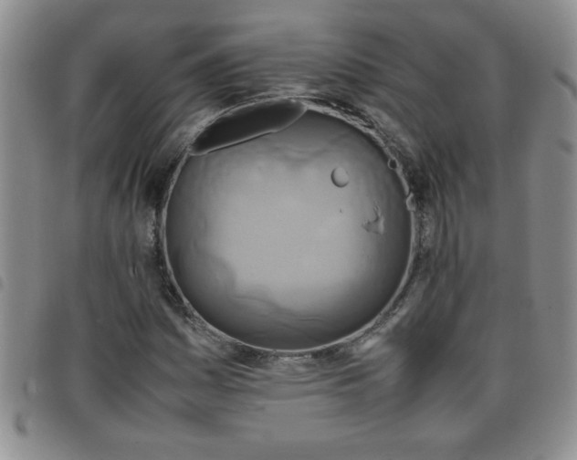 X0000097761161200803141717