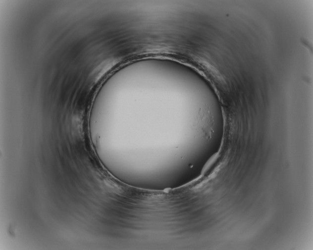 X0000097761162200803141717