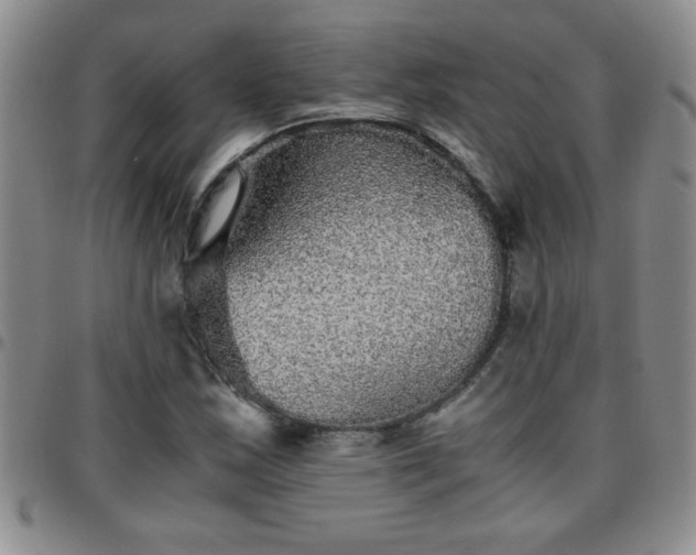 X0000097761163200803141717