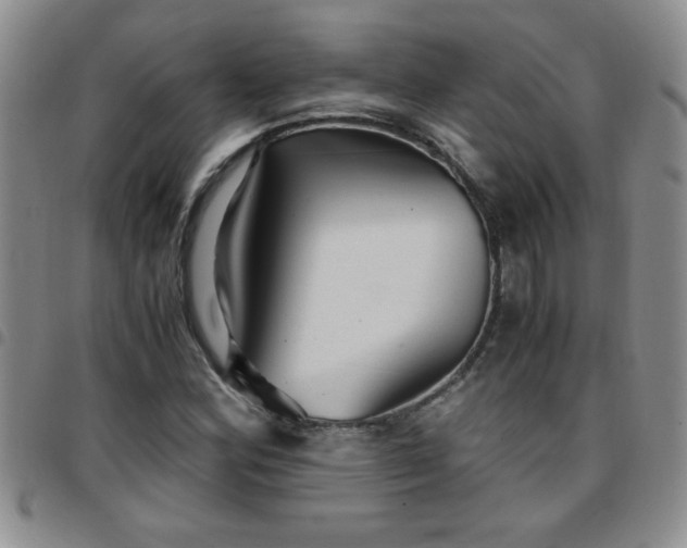 X0000097761164200803141717