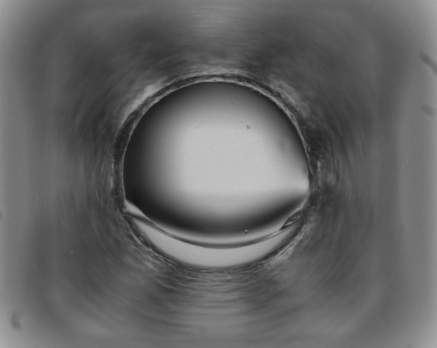 X0000097761165200803141717