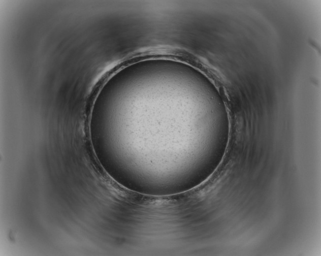 X0000097761166200803141717