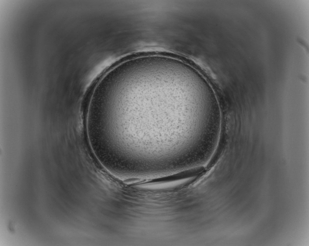 X0000097761167200803141717