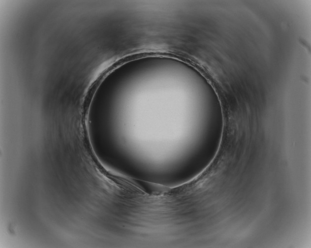 X0000097761168200803141717