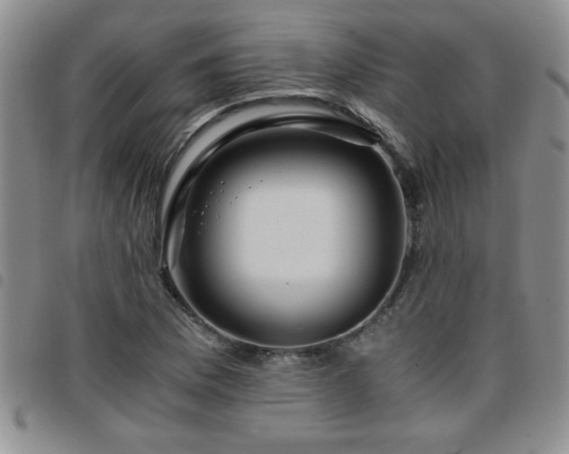 X0000097761169200803141717