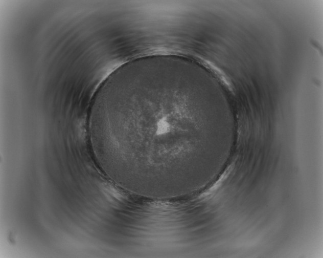 X0000097761170200803141717