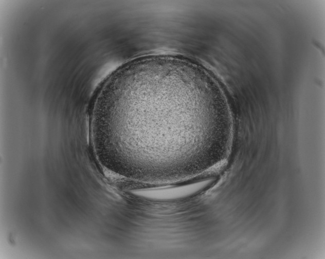 X0000097761171200803141717