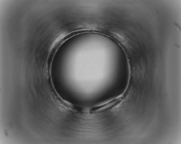 X0000097761172200803141717