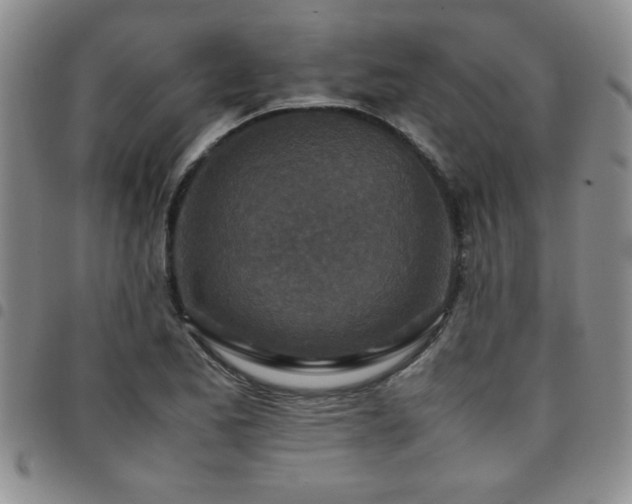 X0000097761173200803141717