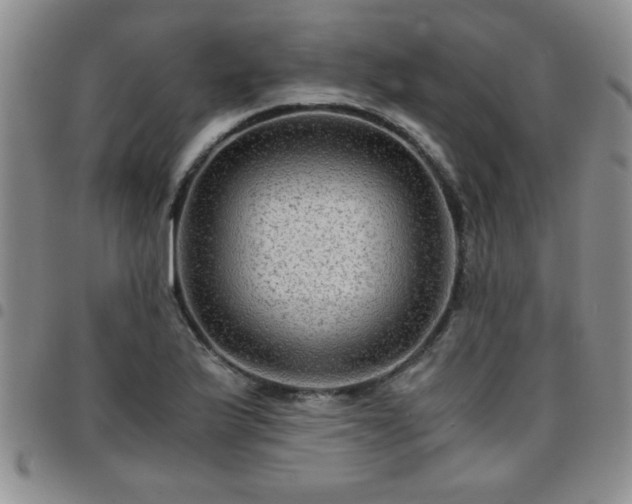 X0000097761175200803141717