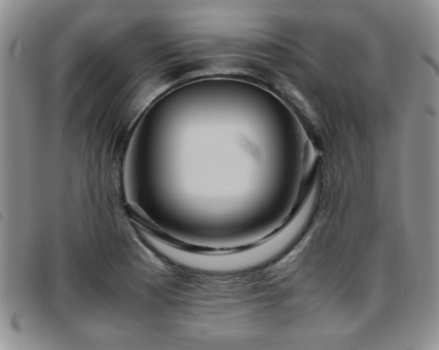 X0000097761177200803141716