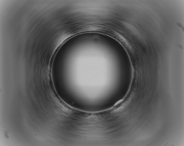 X0000097761178200803141716