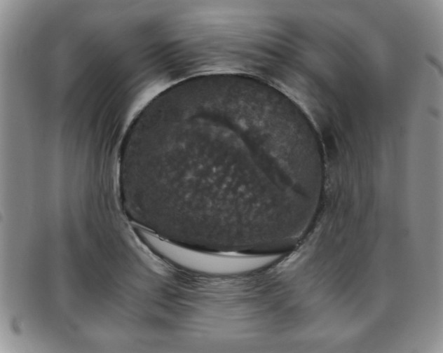 X0000097761179200803141716