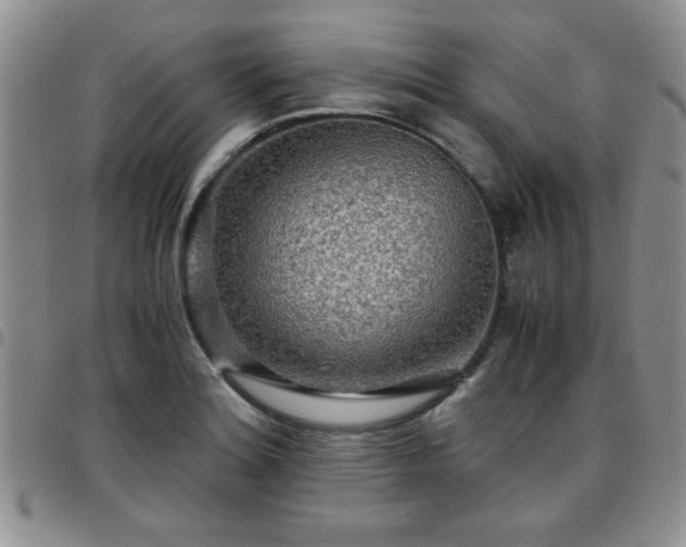 X0000097761180200803141716