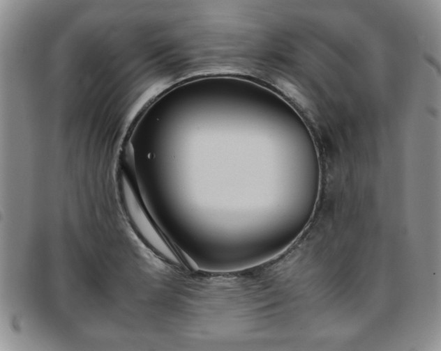 X0000097761181200803141716