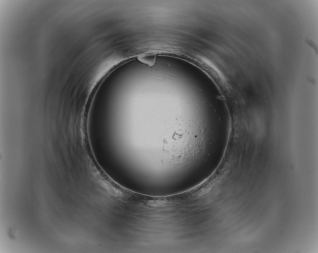 X0000097761182200803141716